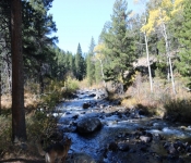 2020 10 05 Montana 015